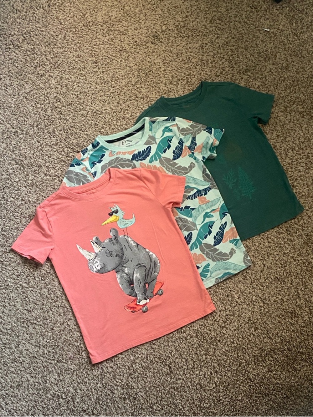Cat & Jack Kids Rhino & Botanical Graphic Tee Bundle